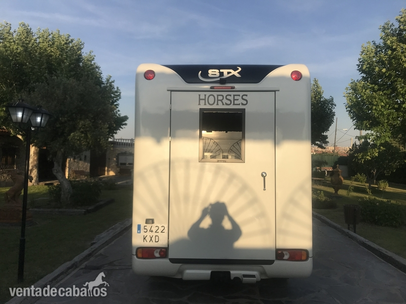 Transportes de caballos - ¡¡¡ ESPECTACULAR FURGONETA "RENAULT"MASTER"STX"5PLAZAS ¡¡ in 