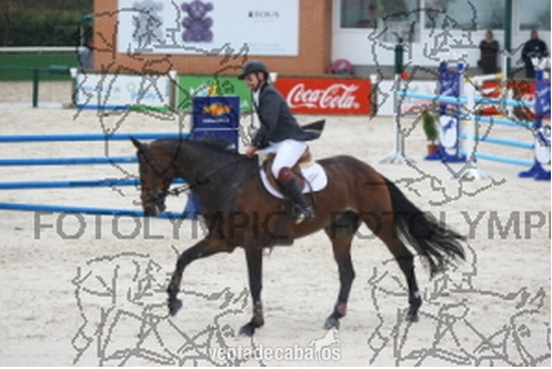 Silla francés {TYPE}