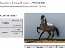 cubriones con Tabasco MAC, un caballo de hierro cardenas hijo de fuego (caballo olimpico)