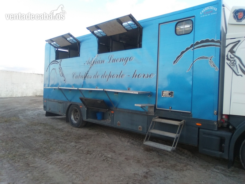 vendo camión - Transportes de caballos in 