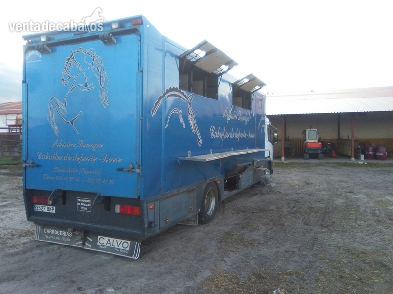vendo camión - Transportes de caballos