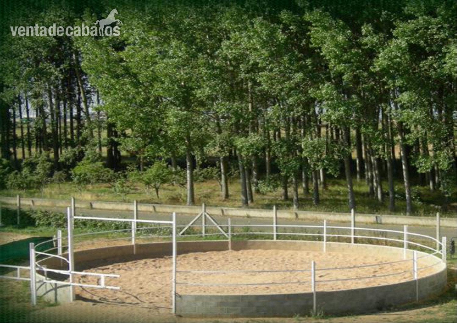HIPICA EN LEON  - Hípicas y establos en venta in CAMINO VILLACETE SN 