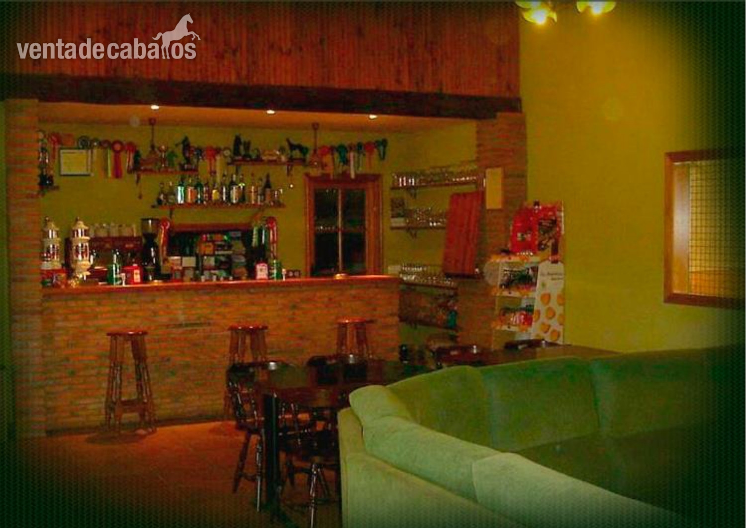 HIPICA EN LEON  - Hípicas y establos en venta