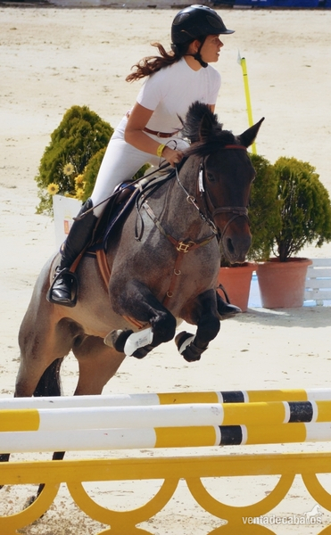 Pony D Campeona in 