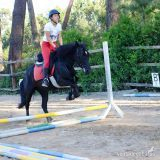 Cruzado {TYPE}