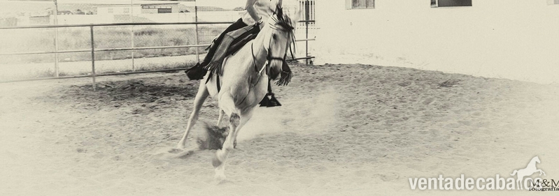 Cruzado