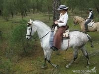 Caballo tordo mosqueado - Caballos Capados Cruzado