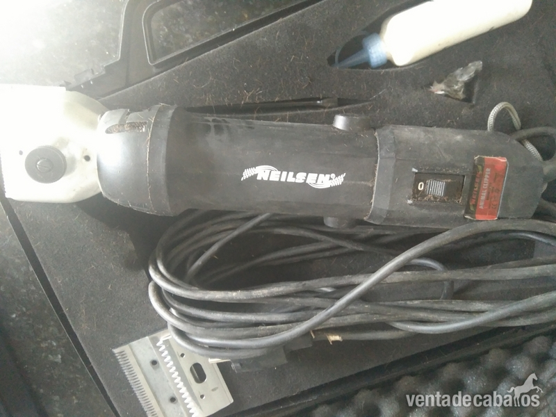  esquiladora de caballo 300w/ 300rpm. 230v-50hz. Usada 2 veces