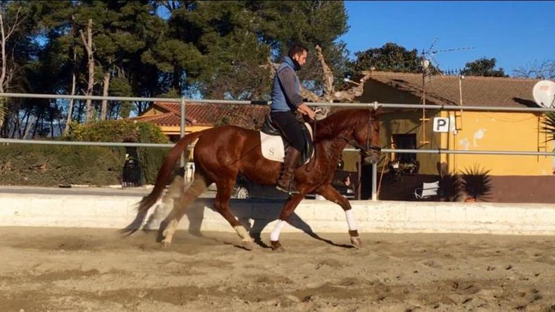 Hispano-Arabe {TYPE}