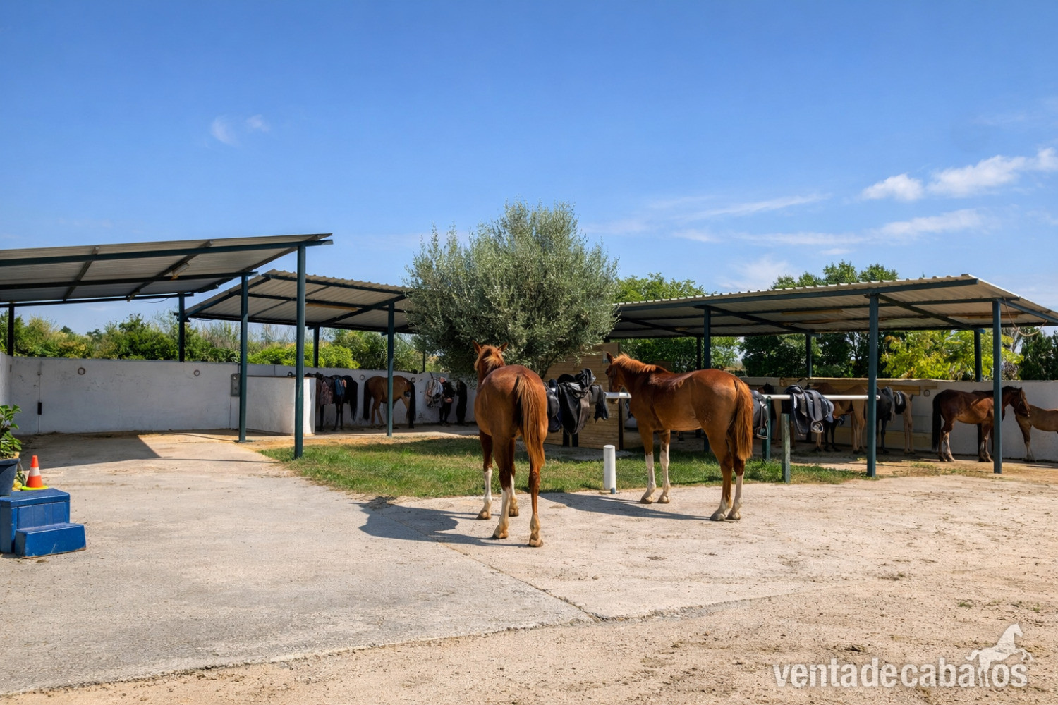 FINCA ECUESTRE CON VIVIENDA EN CASTELLÓN SUR in CASTELLON