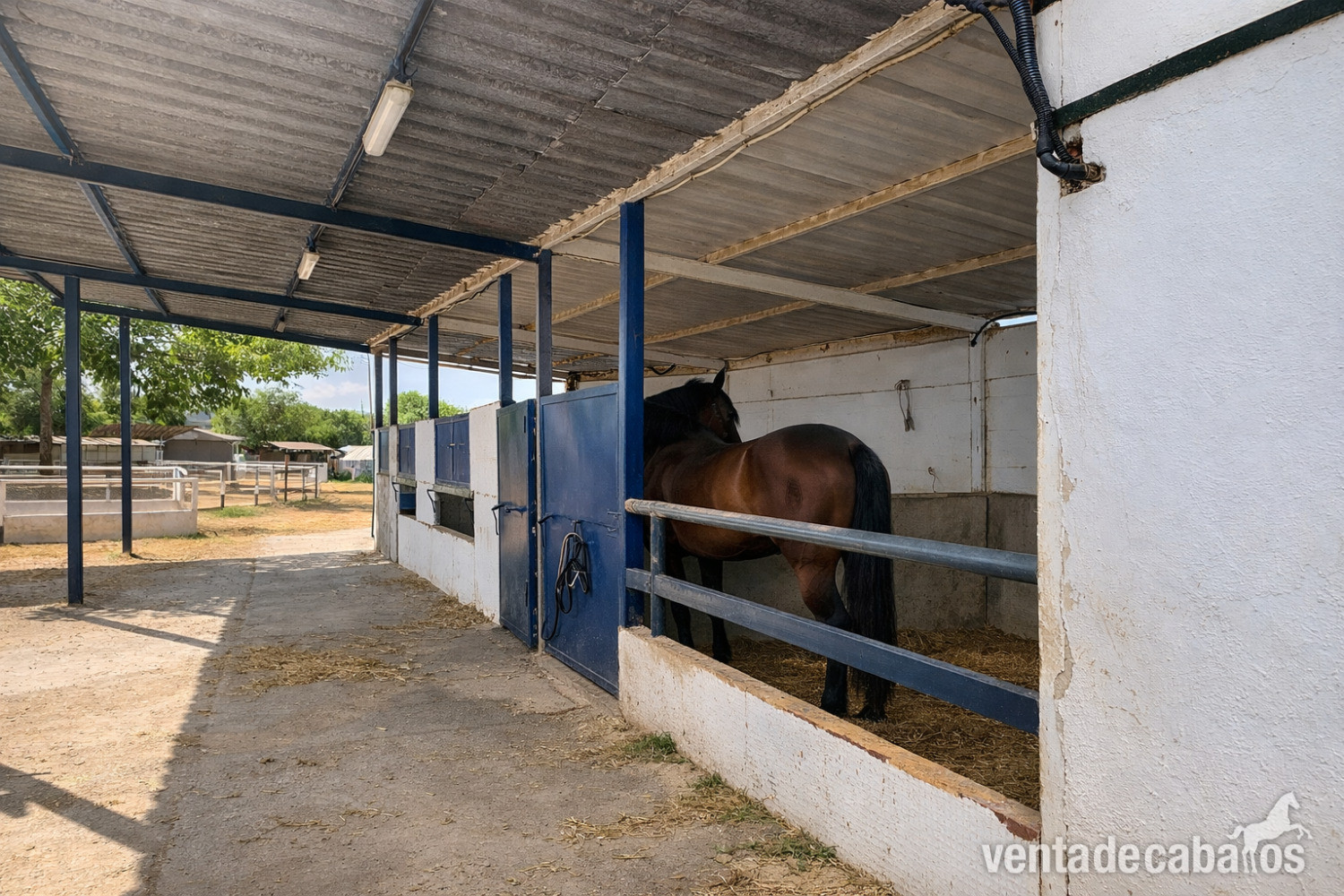 FINCA ECUESTRE CON VIVIENDA EN CASTELLÓN SUR