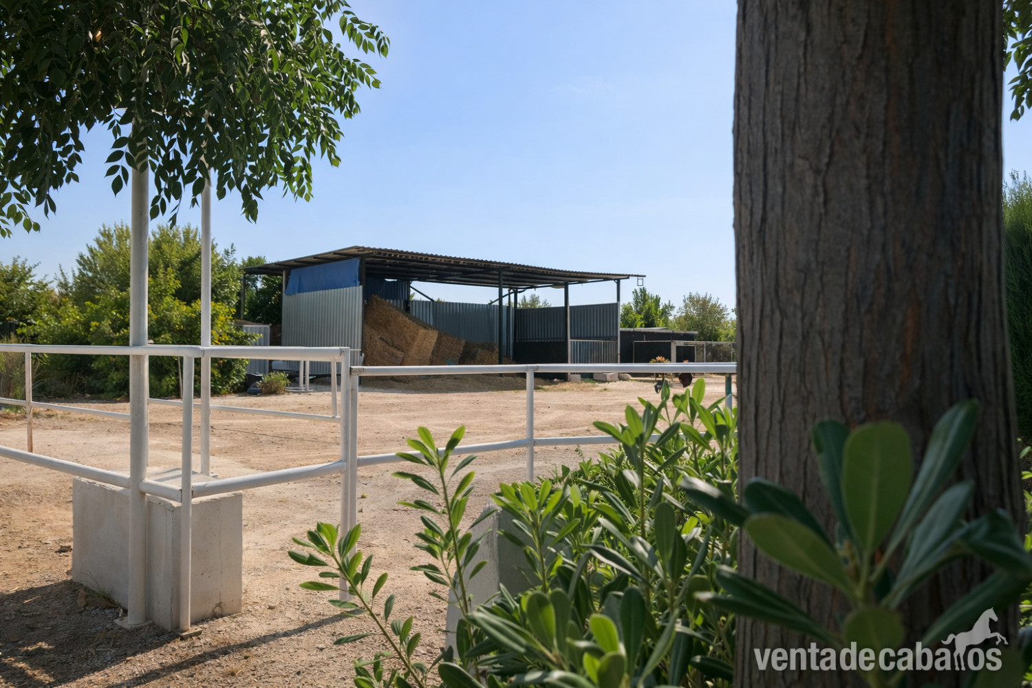FINCA ECUESTRE CON VIVIENDA EN CASTELLÓN SUR - Finca ecuestre in CASTELLON