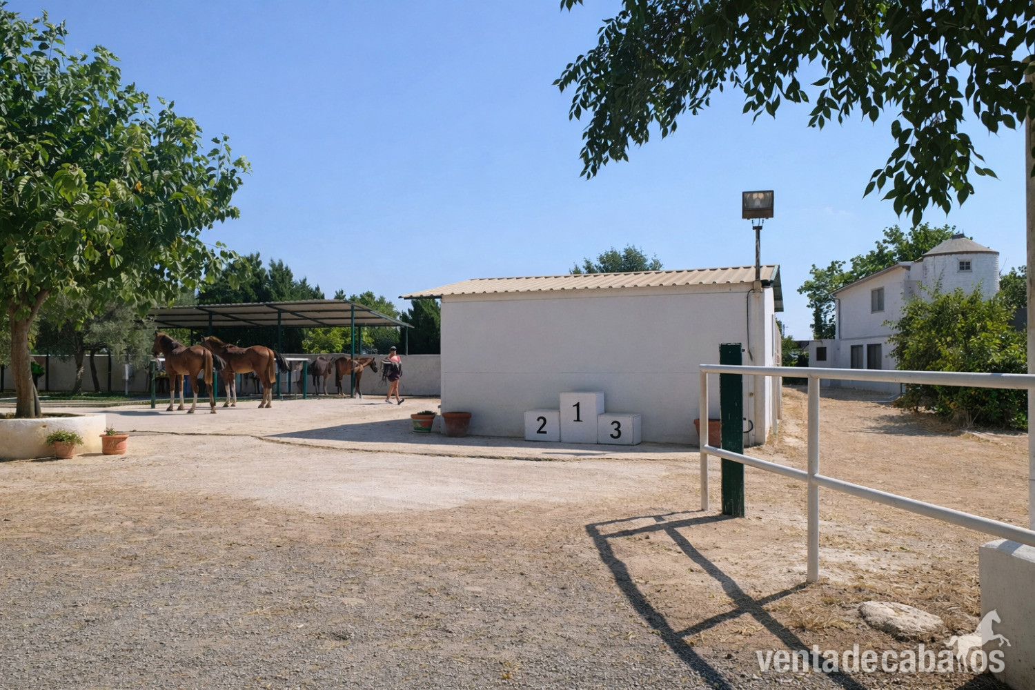 FINCA ECUESTRE CON VIVIENDA EN CASTELLÓN SUR - Finca ecuestre
