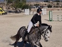 Caballo de salto 6 an̈os