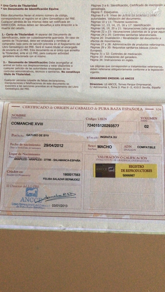 Pura Raza Española