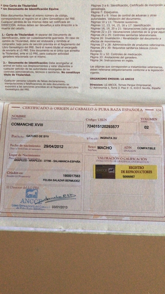 Pura Raza Española
