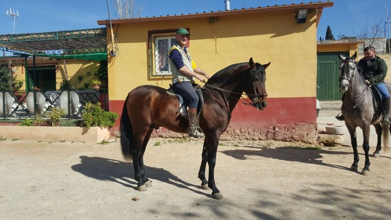 Pura Raza Española