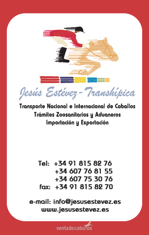 VIAJES QUINCENALES DESDE EL SUR DE ESPAÑA AL NORTE DE EUROPA in 