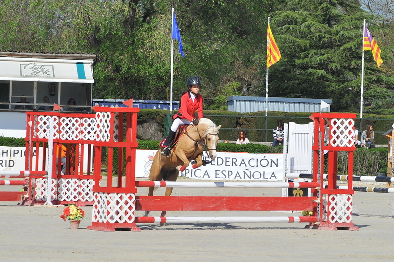 Poni Welsh {TYPE}