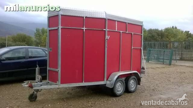 Alquiler van caballos in 