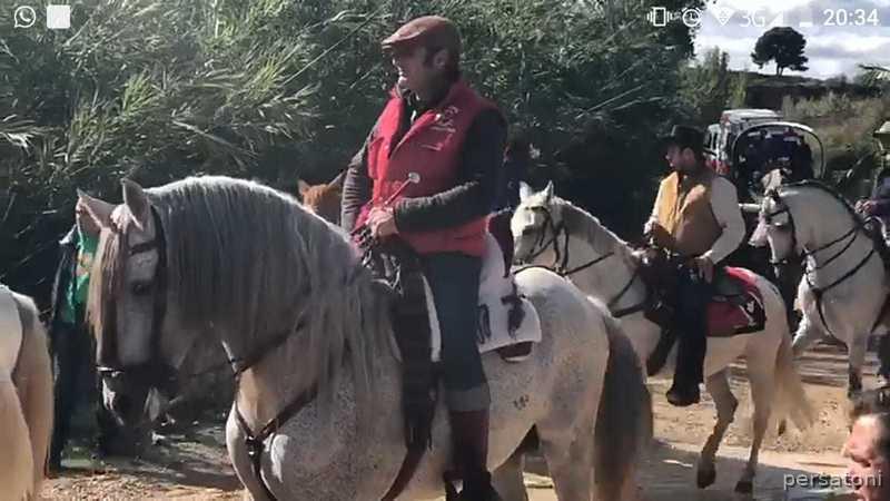 Pura Raza Española