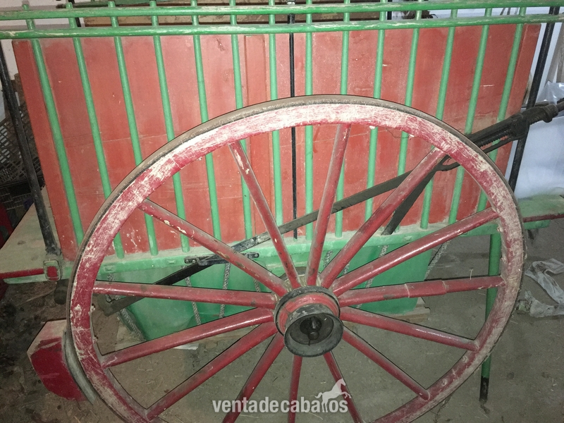 Carro de mulas antiguo in 