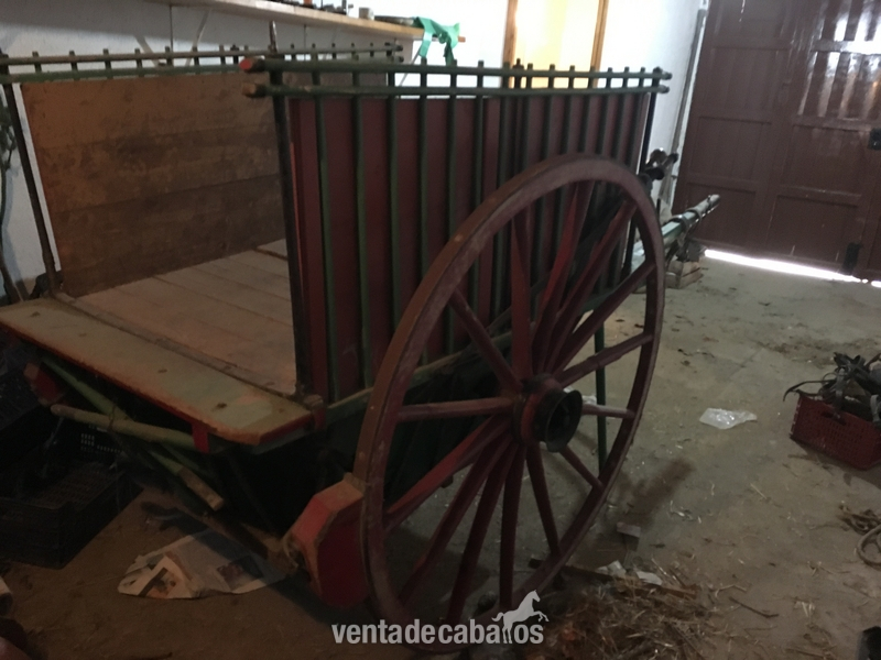  Carro de mulas antiguo