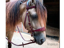 Cabezada barroca Lazypony\ Baroque bridle Lazypony
