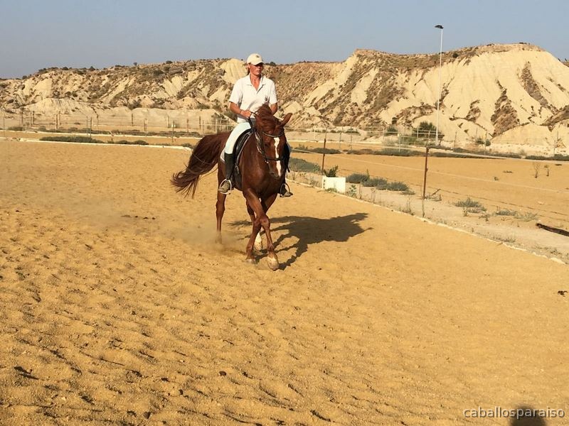 Hispano-Arabe {TYPE}