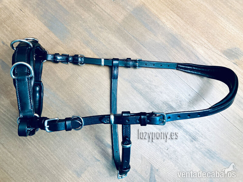 Artículos de hípica - Cabezada serreta Lazypony\ Handmade leather cavesson Lazypony in 