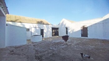 Andalucia, Cadiz, Bornos - Finca 52 en venta