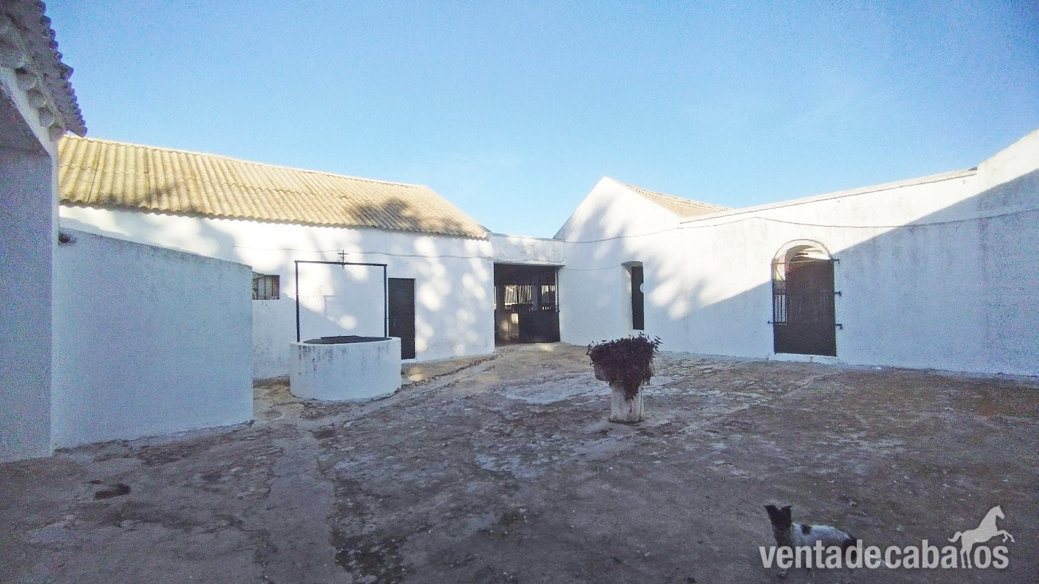 Andalucia, Cadiz, Bornos - Finca 52 en venta in Bornos