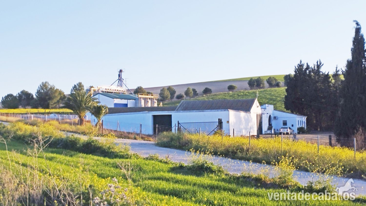 Andalucia, Cadiz, Bornos - Finca 52 en venta