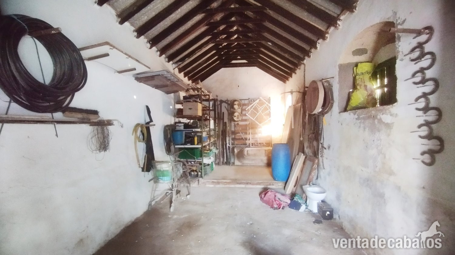 Andalucia, Cadiz, Bornos - Finca 52 en venta - Finca ecuestre in Bornos