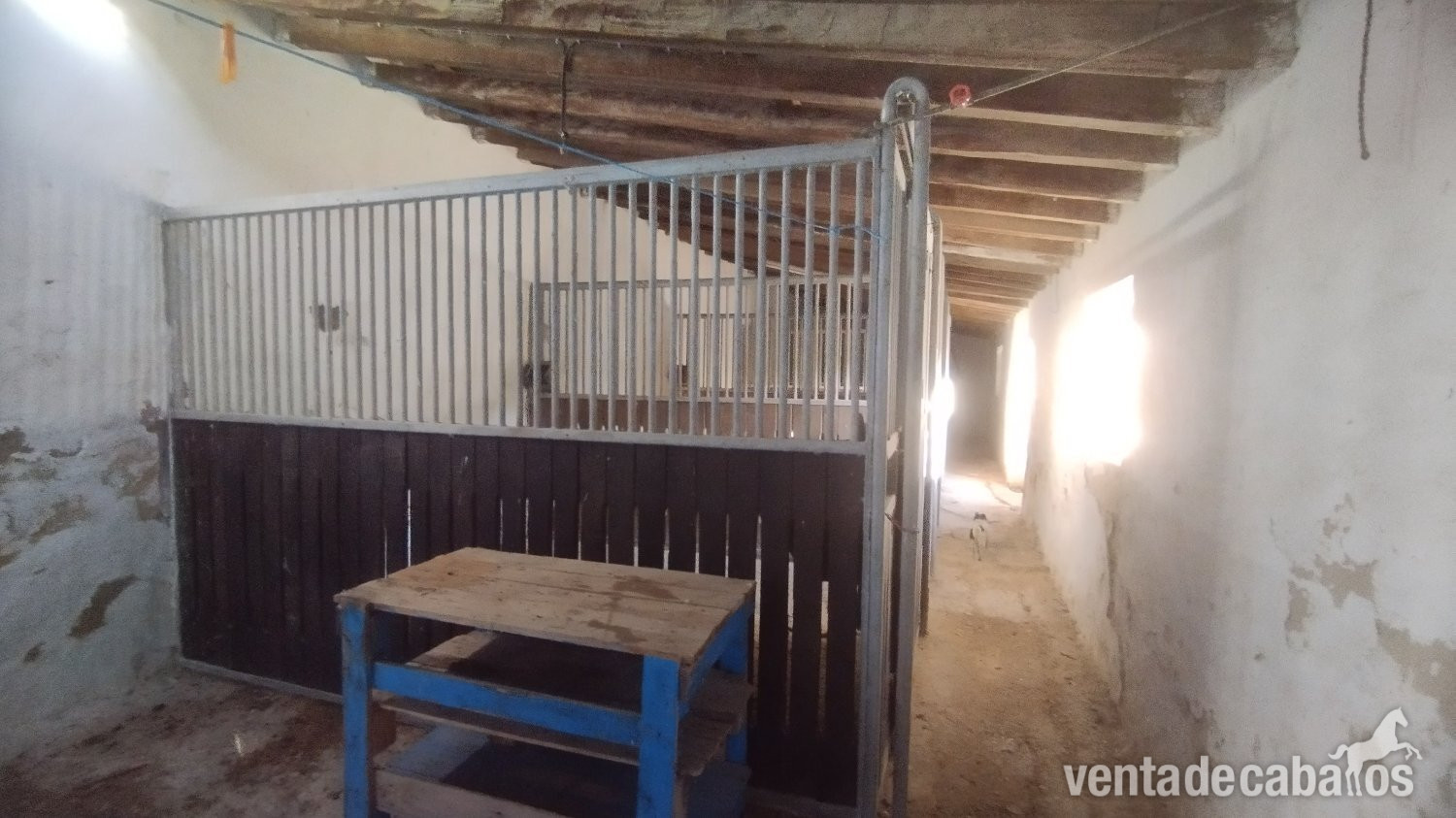 Andalucia, Cadiz, Bornos - Finca 52 en venta - Finca ecuestre