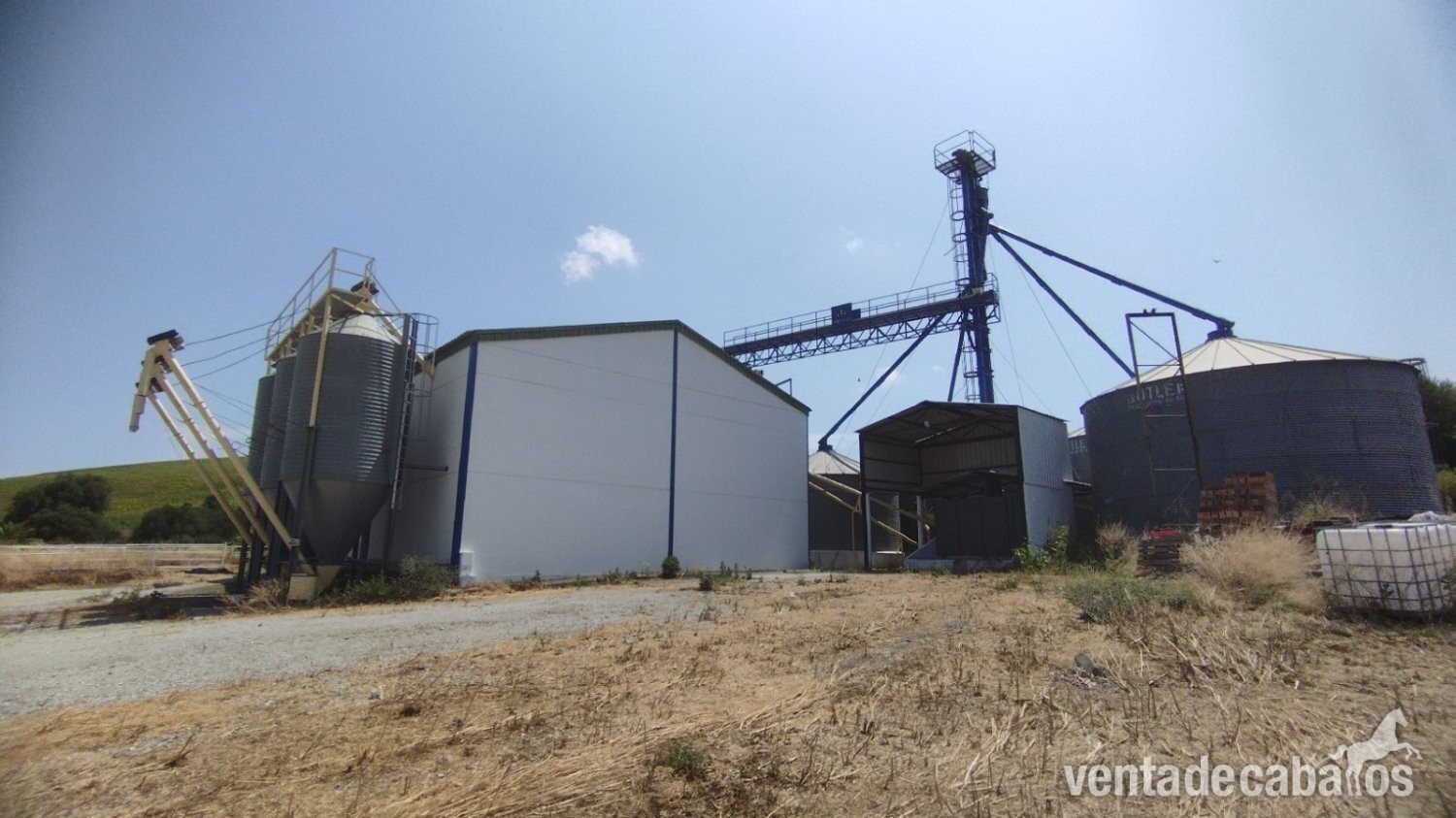 Finca ecuestre - Andalucia, Cadiz, Bornos - Finca 52 en venta in Bornos