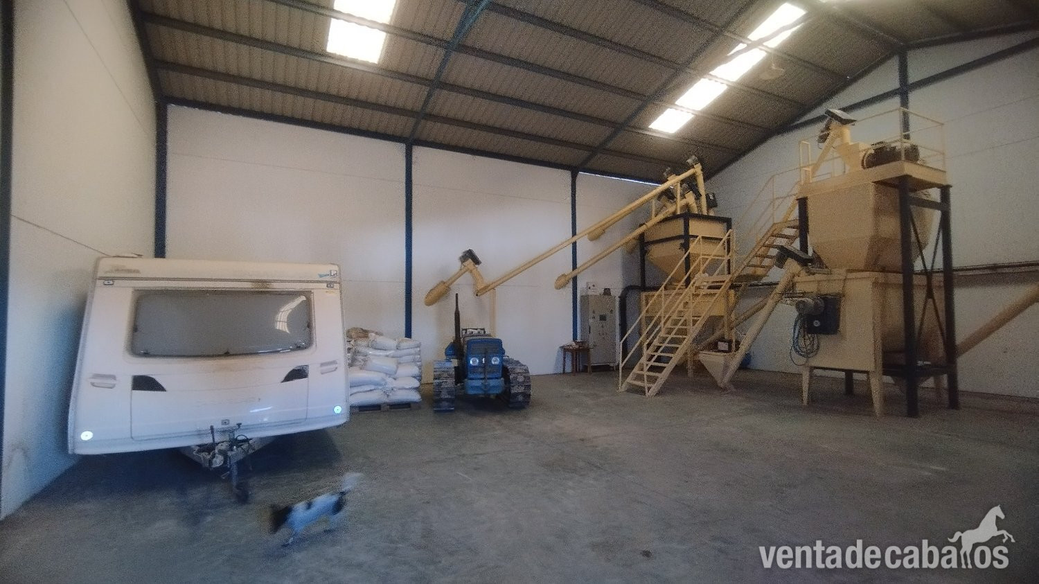 Finca ecuestre - Andalucia, Cadiz, Bornos - Finca 52 en venta