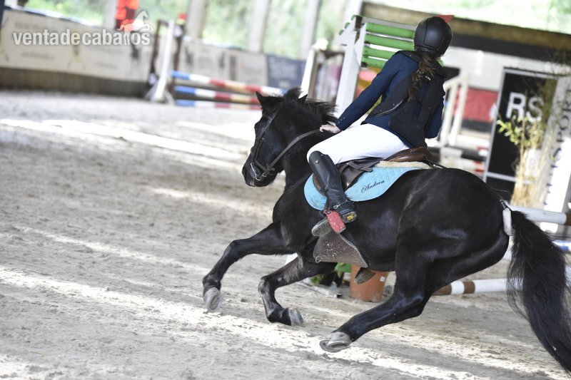 POTOKKA CON PAPELES {TYPE}