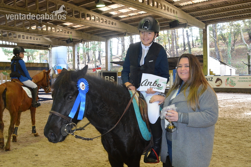 VENDO PONY "B" SALTO SUBCAMPEON DE ESPAÑA 2.019,  - Ponis Pony Club POTOKKA CON PAPELES