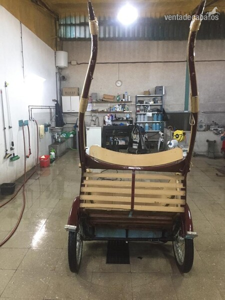  Se vende carruaje