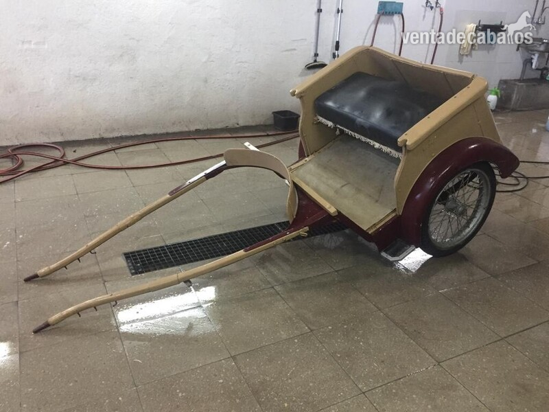 Se vende carruaje - Carruajes y Enganches in 