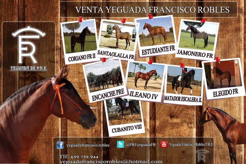 Pura Raza Española