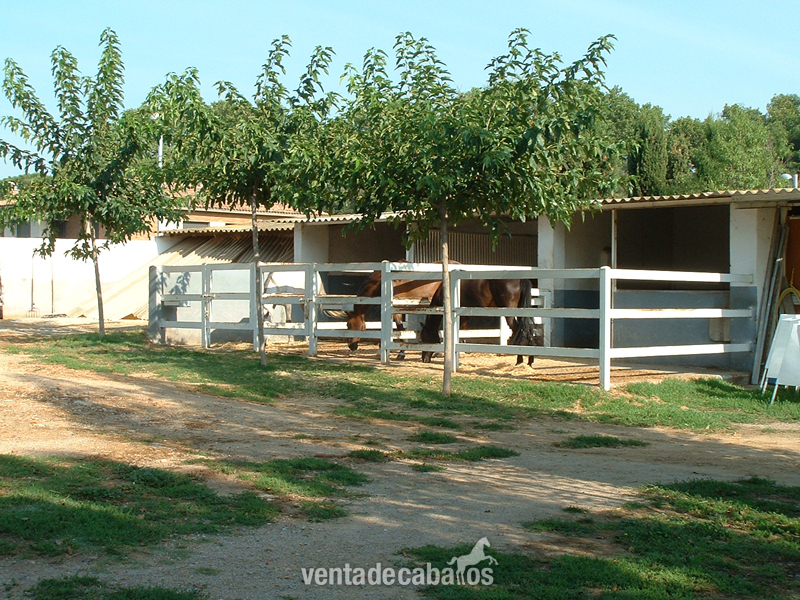 Escola d'equitació de Lliça d'amunt in Lliça d'amunt