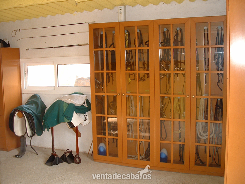 Lliça d'amunt Escola d'equitació de Lliça d'amunt