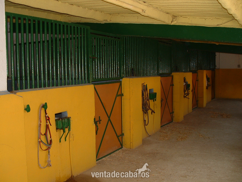 Escola d'equitació de Lliça d'amunt - Hípicas y establos en venta
