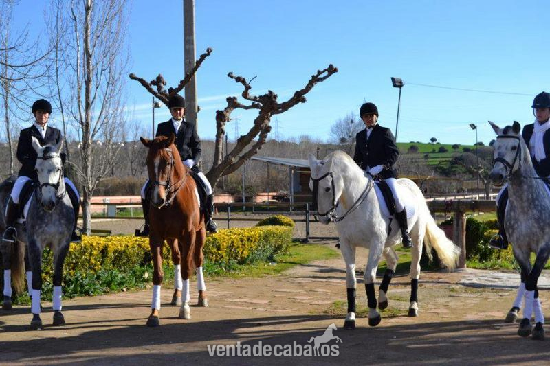 Hípicas y establos en venta - Escola d'equitació de Lliça d'amunt in Lliça d'amunt