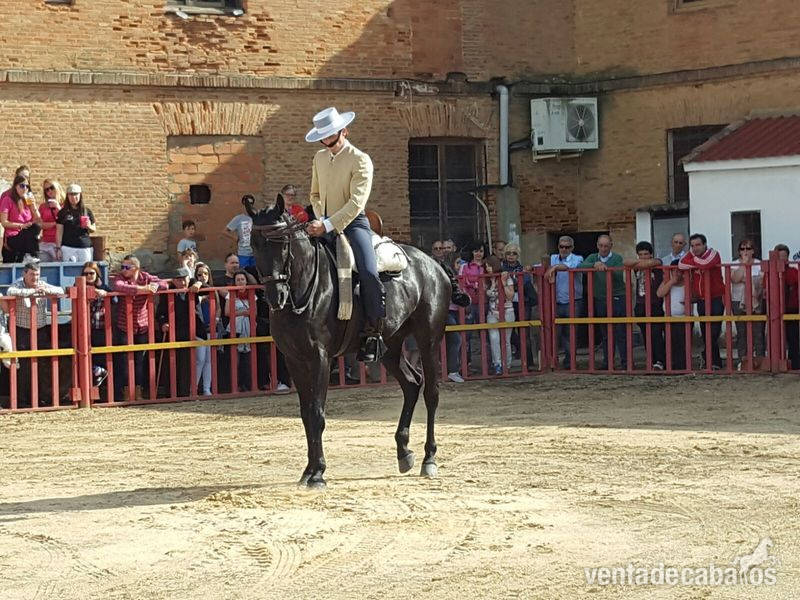 Tres sangres {TYPE}
