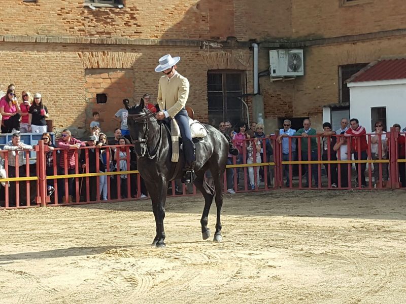 Tres sangres {TYPE}