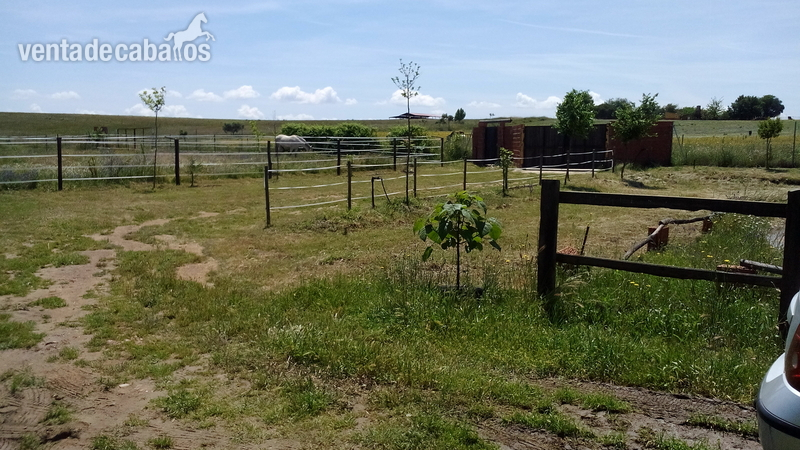 Hípicas y establos en venta - Ocasion ,se vende hipica in Coria