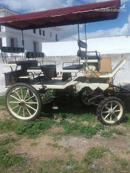 Alquiler coche de caballos 12 plazas